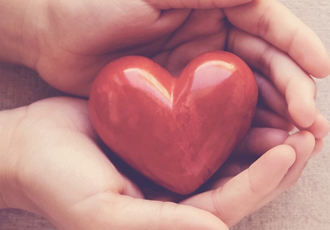 El corazón:  funciones y  patologías