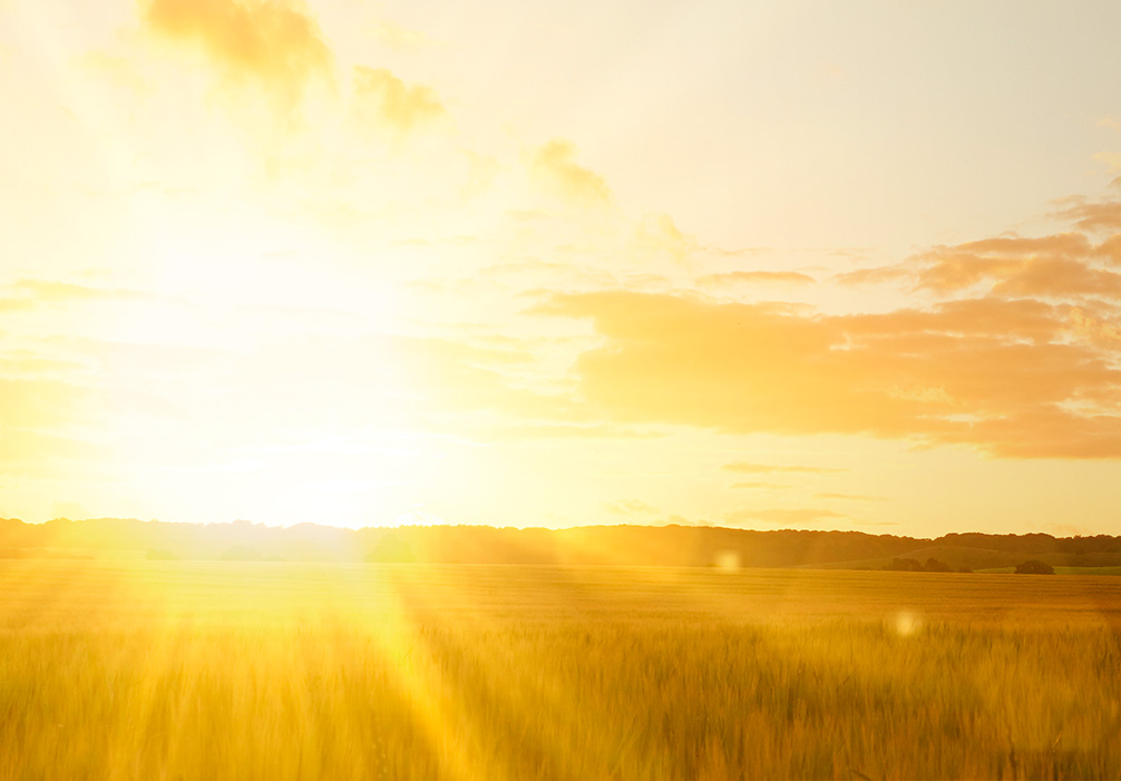 Consejos para sobrellevar el calor