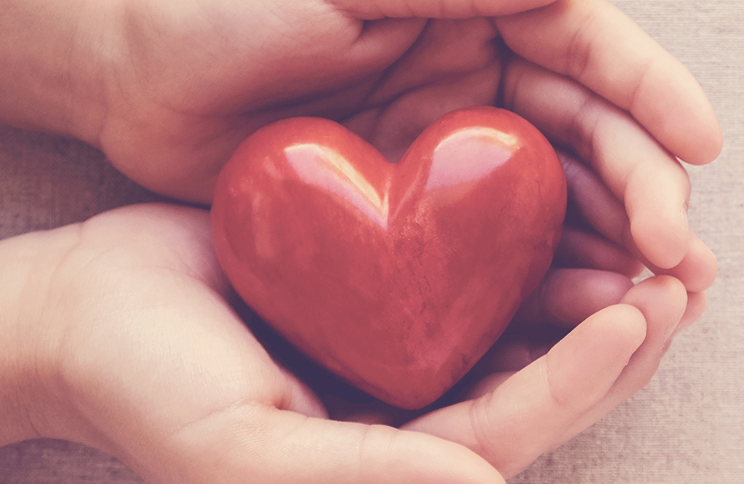 El corazón:  funciones y  patologías